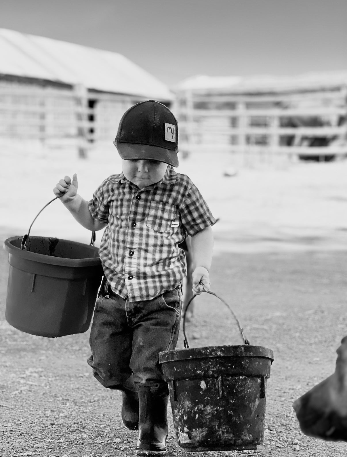 MY Memory Ranches YOUTH Cap (Multiple Color Options)